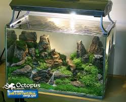 Setting aquascape low maintenance ukuran 60cm x 40cm x 40cm dengan menggunakan hardscape batu erangga, batu lava, dan kayu rasamala. Aquascape Ideas Aquascape Tank 50 Cm