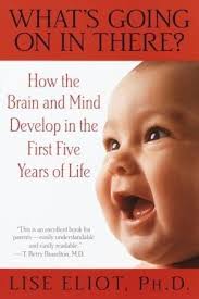 What's Going On In There? How The Brain And Mind Develop In The First Five  Years Of Life Summary PDF