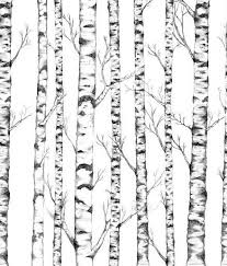 Black And White Birch Tree Wallpaper Tree Wall Panel A Lovely Silver Birch Tree Illustration Art Panel On Clean White Background With Images Tree Wallpaper Mural Tree Wallpaper Tree Mural