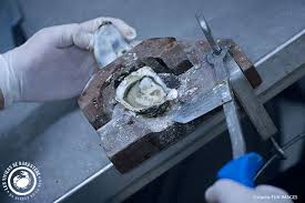 Huitres Frais Medaille Argent Salondel Agriculture Morbihan Bretagne Sarzeau Ostreiculteur Www Viviers Plateau De Fruits De Mer Ostreiculteur Huitres