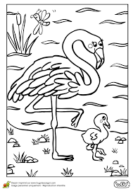 bebe animaux flamant rose et son petit page 4 sur 12 hugolescargot com dessin flamand livre de coloriage clone trooper