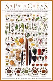 Spices And Culinary Herbs Wall Chart Poster By Tim Ziegler