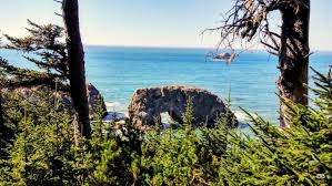 Maybe you would like to learn more about one of these? Gold Beach Oregon