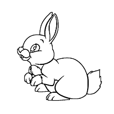 We did not find results for: Hase Malen Vorlage Kostenlos