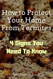 How To Protect Your Home From Termites 4 Signs You Need To Know Termite Treatment Protecting Your Home Termites