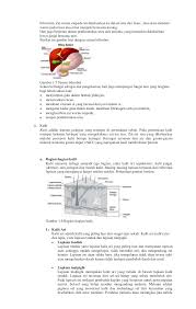 1 Rpp Sistem Ekskresi In 2020 Health Education Psoriasis Rutin