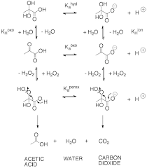 How Many Atp Molecules Are Produced In Pyruvate Oxidation? - Quora