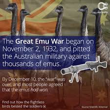 Home Emu War Greatful My Family History