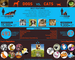 Generally, dogs are larger than cats, and they need more food to function properly. Dogs Vs Cats Visual Ly