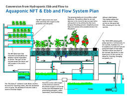 Uber Google Auf Pinterest Com Gefunden Aquaponics System Hydrokultur Garten Und Hydrokultur