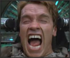 The Best arnold schwarzenegger