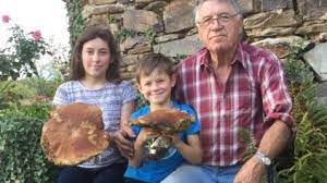 Bienvenue sur le site des cèpes. Dordogne Cette Famille Trouve De Tres Gros Cepes De Plus De 1 2 Kilos