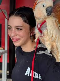 Some of the animals up at hide out pizza!! Lots of babies!!