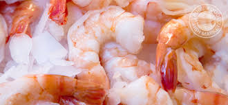 When it comes to how to cook shrimp, most of our advice tends to reside in the buying, cleaning and prepping stages. Buy Jumbo Shrimp Online Cooked Peeled Deveined Pure Food Fish Market