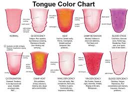 tongue colour chart different regions in tongue heart and