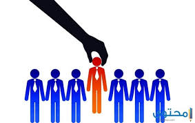 ما هي أقسام الموارد البشرية الأساسية موقع محتوى