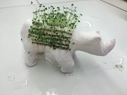 Chia Pet In Studio Art A Beginning Clay Project Chia Pet Clay Projects Pottery Lessons