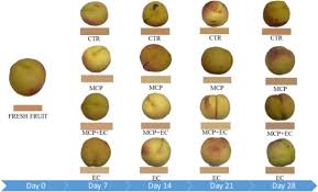 Agriculture Special Issue Postharvest Physiology And Technology Of Fruits And Vegetables