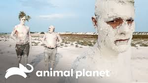 Las aventuras de Frank en las tierras de los mayas