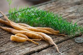 Image result for Asparagus racemosus