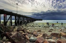Edmonds Wa Low Tide Marina Beach Beach Fountain City