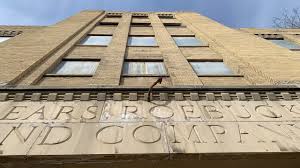 Image result for Searsia refracta