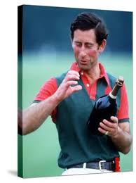 Prince Charles at Polo at Windsor ...