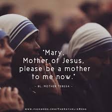 Mother Teresa Mother Teresa Quotes Saint Teresa Of Calcutta Mother Theresa