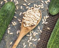 Check Out The 5 Lesser Known Health Benefits Of Cucumber Seeds