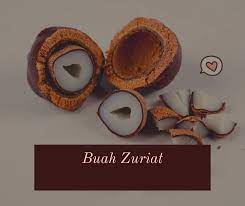 Tak hanya mudah ditemukan di areal mekah dan madinah, buah ini mudah diketemukan di areal mesir, sudan, kenya. Buah Zuriat English Buah Zuriat Untuk Endometriosis Ekstrak Buahzuriat Buah Mekah Mesir