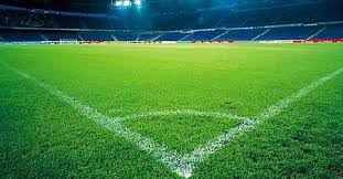 Картошку разделить на 2 части. Novoe Futbolnoe Pole Poyavilos V Kemerove Novosti Sport Sibnovosti Ru