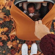 It doesn't get any more gender neutral than the camel cover. Copper Pearl Breastfeeding Cover Gifts For New Parents Carseat Cover