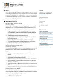 Gastronomía importante cadena hotelera incorpora a su equipo de trabajo una persona con amplios conocimientos en el rub… se busca jefa de cocina con experiencia para restaurante ubicado en valdemoro. Curriculum Para Cocinero O Chef Crea Tu Cv Gratis 18 Plantillas