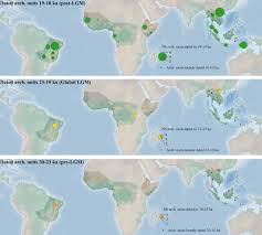 Image result for Ondo Blue 1990 Tracer