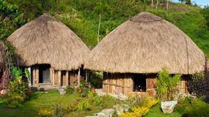 Jika rumah sasadu berasal dari halmahera barat, maka hibualamo merupakan rumah adat asli halmahera utara. 9 Keunikan Rumah Adat Honai Khas Papua Rumahlia Com