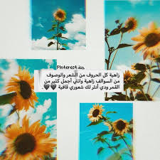 Pin By Jannah On My Favourite 2 In 2020 Book Cover My Favorite Things Art
