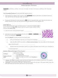 Place the four images from the cell cycle in the correct chronological order. Modified Cell Division Gizmo Doc Document