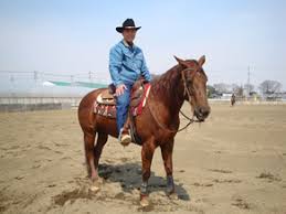Sai Horse Ranch 彩乗馬クラブ トップページ
