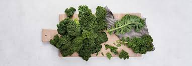 Image result for kadeřávek