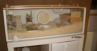 Nessa S Cage Current Setup Diy Hamster Cage Billy Bookcase Lots Of Pictures From Build