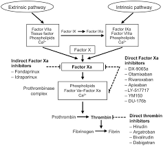 Image result for Anticoagulation Pathway