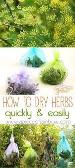 A Super Fun And Effective Way Of How To Dry Herbs Easily And Fashionably Too It S Also A Great Way To Save Garden S Jardinage Jardin De Legumes Herboristerie