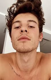 The One After [SHAWN MENDES]