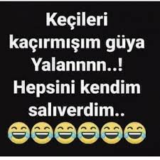 Biraktim Tum Keci Suratli Insanlari Bff Sozleri Mizah Alintilari Ilham Verici Sozler