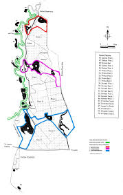 Image result for Oncella curviramea