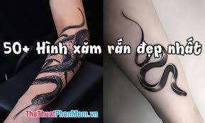 Hoa hồng là biểu tượng của tình yêu, tình cảm và vẻ đẹp. 50 Hinh XÄƒm Ráº¯n Ä'áº¹p Nháº¥t