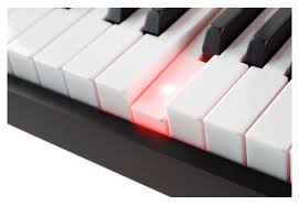 Zoomalia.nl is de online dierenspeciaalzaak tegen lage prijzen die meer dan 100 000 producten in aanbieding heeft (van voeding tot accessoires voor dieren). Grosses Einsteiger Keyboard In Stage Piano Optik Mit 88 Leuchttasten 146 Sounds Sonstige Tasteninstrumente