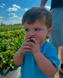 Happy Palm Sunday 🌿✝️