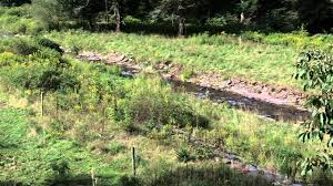 Watershed Minutes What Is A Riparian Buffer Youtube
