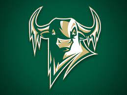 Usf Ice Bulls Main Logo Concept Bull Logo Art Logo Logo Concept